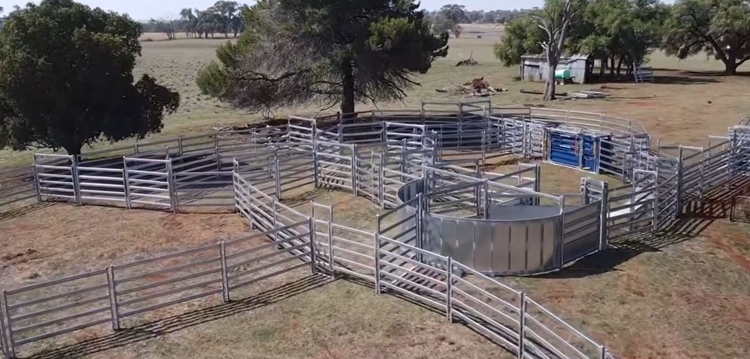  Metalcorp CattleKing® Yard